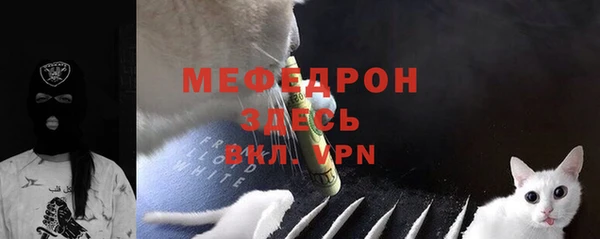 стаф Арсеньев