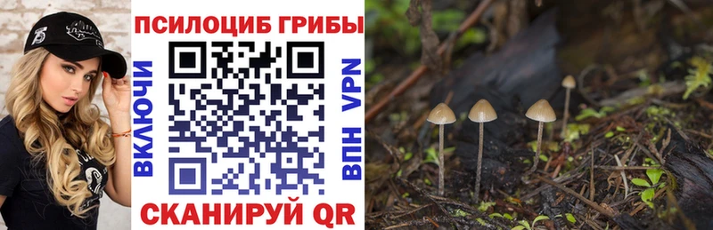 Галлюциногенные грибы Psilocybine cubensis  как найти   Печора 